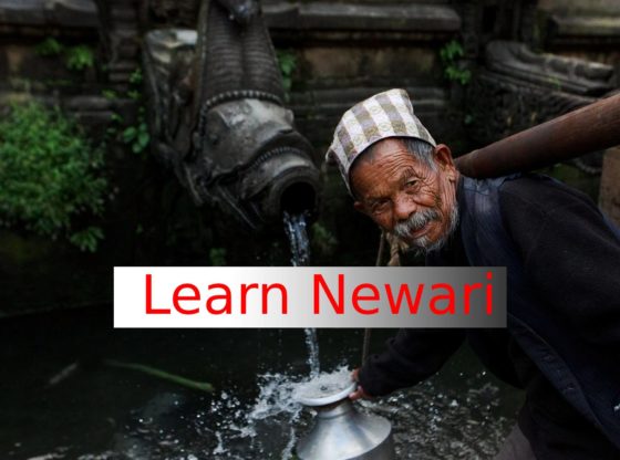 learn newari