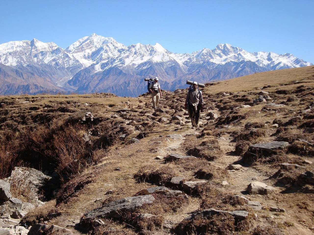 Sherpa language learning