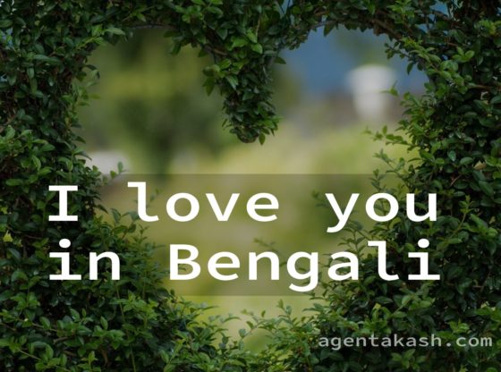 i love you in Bengali