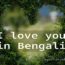 i love you in Bengali