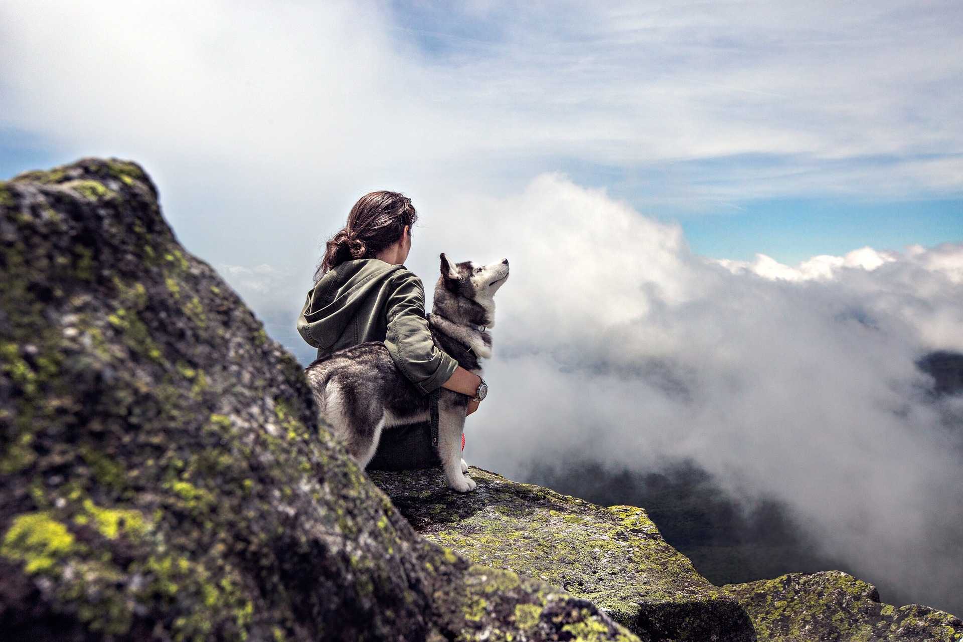 girl and a dog on a stone